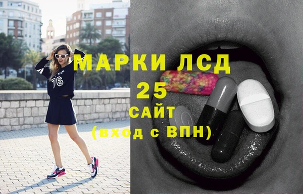 эйфоретик Няндома