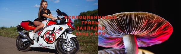 крисы Нягань
