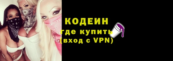 эйфоретик Няндома