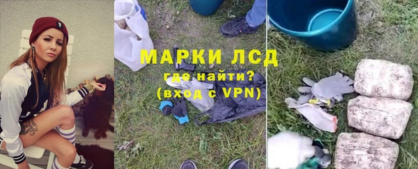 эйфоретик Няндома